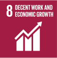 SDG 8